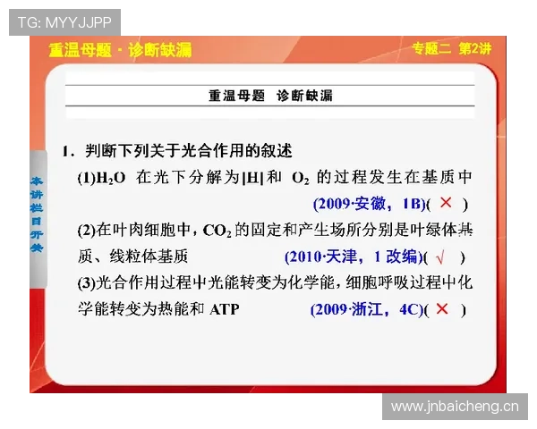 技术犯规的判定标准与常见场景解析